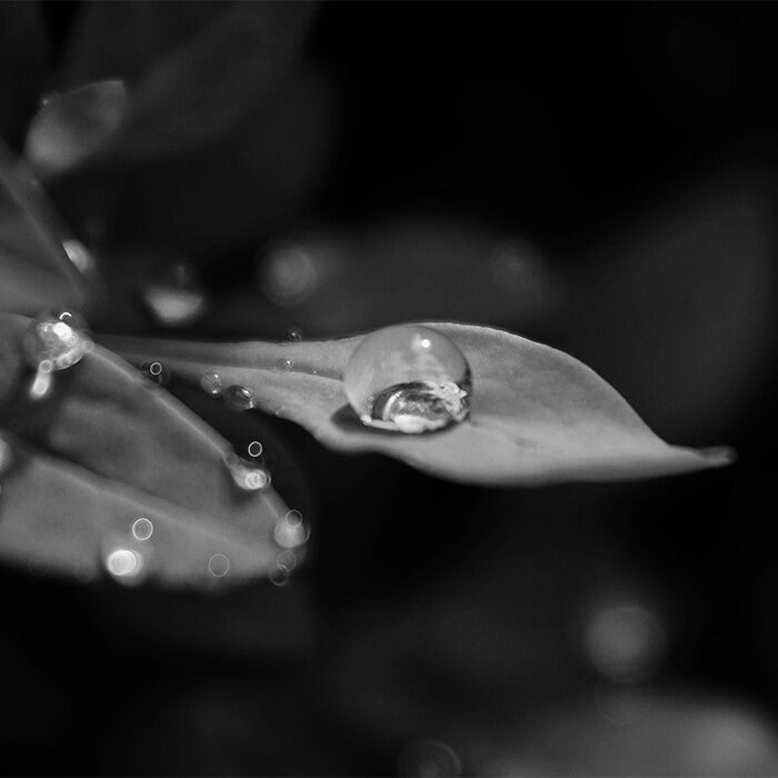 Image without a name